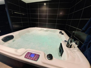 JACUZZI dans appartement T2 centre-ville